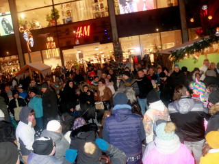 Foto 256294 im Album