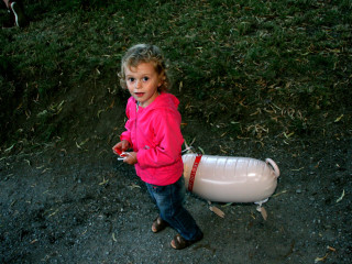 Foto 26151 im Album