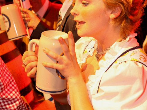 Hofer Volksfest 2012 – Foto 15