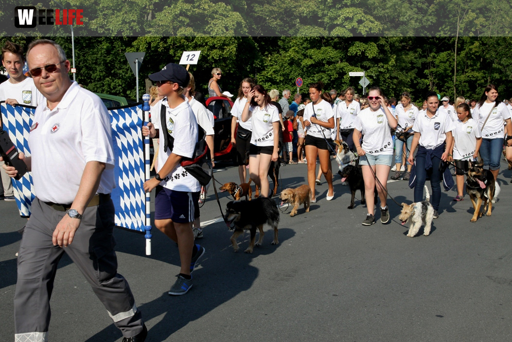 Hofer Volksfest 2012
