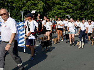 Foto 26337 im Album