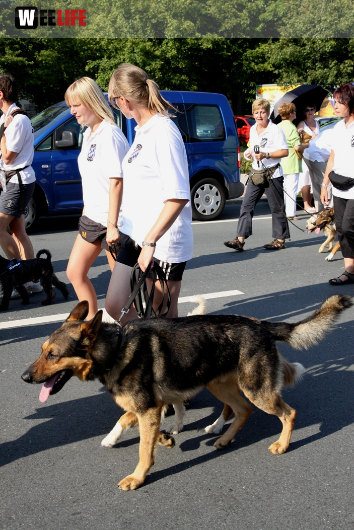 Hofer Volksfest 2012