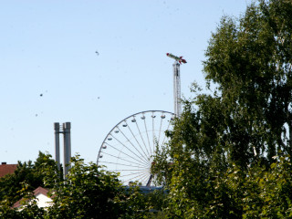 Foto 27430 im Album