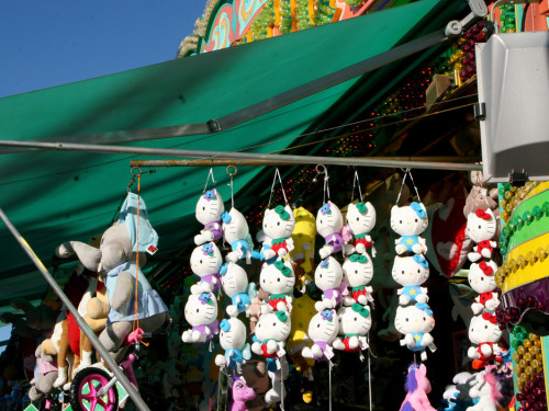 Hofer Volksfest – Foto 42