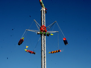Foto 27564 im Album