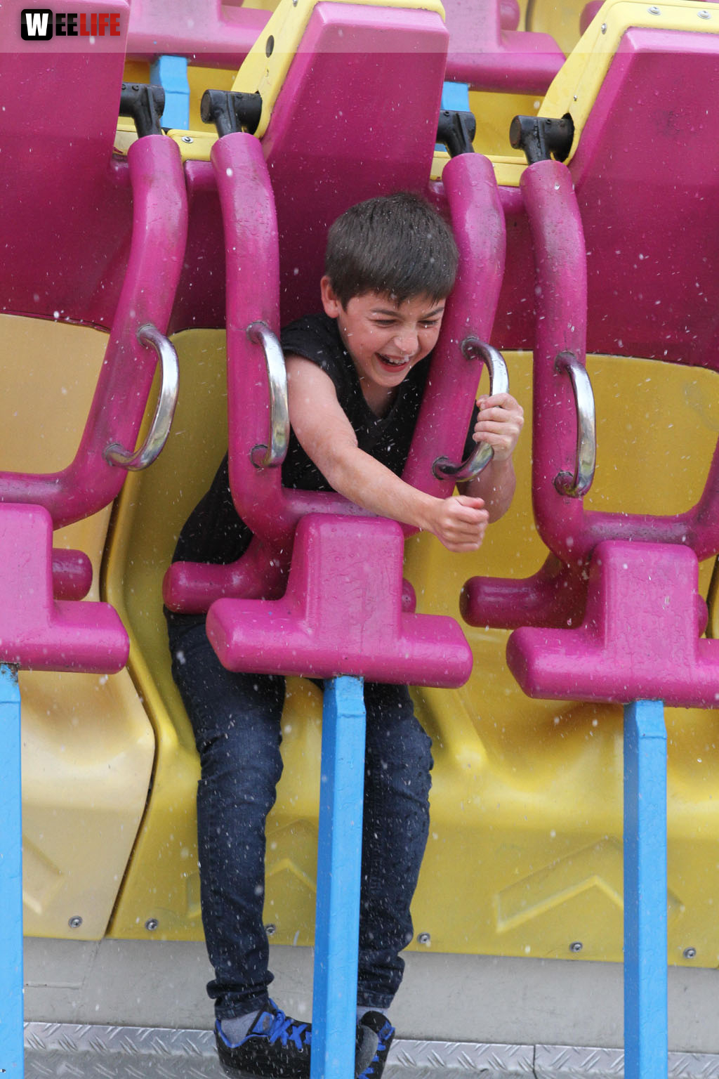 Hofer Volksfest
