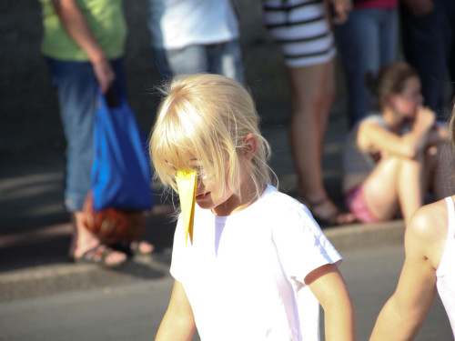 Hofer Volksfest 2012 – Foto 81