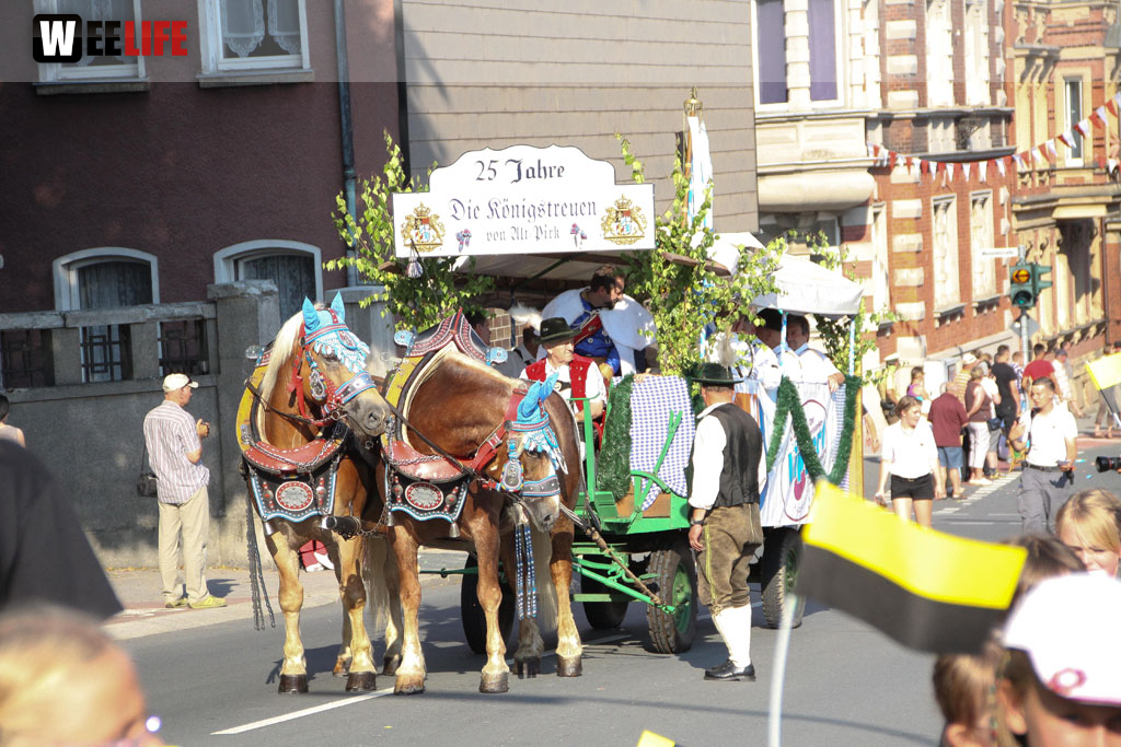 Hofer Volksfest 2012