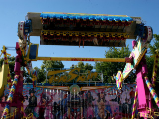 Foto 28447 im Album