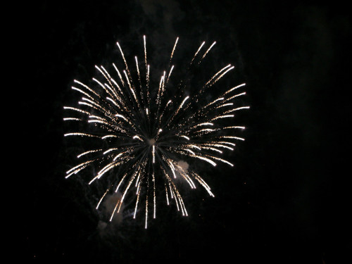Hofer Volksfest 2012 – Foto 86