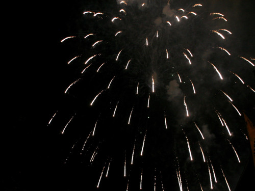 Hofer Volksfest 2012 – Foto 89