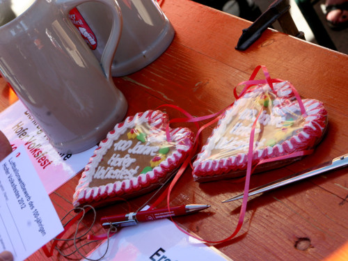 Hofer Volksfest – Foto 282