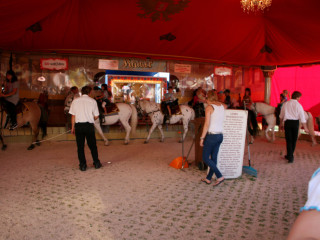 Foto 28792 im Album