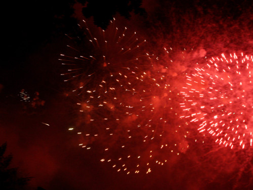 Hofer Volksfest 2012 – Foto 310