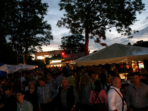 Hofer Volksfest 2012 – Foto 317