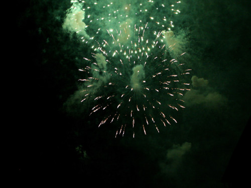 Hofer Volksfest 2012 – Foto 330