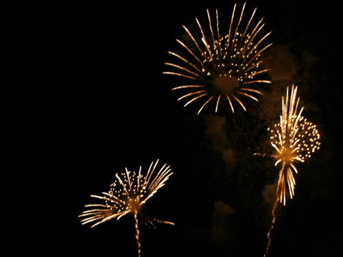 Hofer Volksfest 2012 – Foto 331