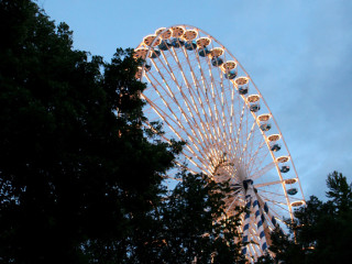 Foto 30489 im Album
