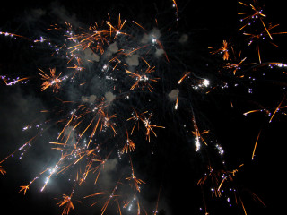 Foto 31553 im Album