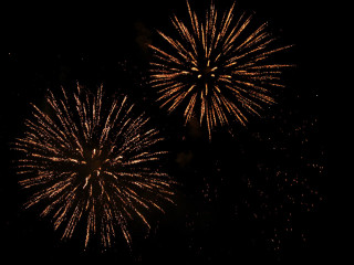 Foto 31554 im Album