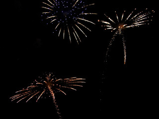 Foto 31555 im Album