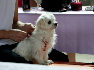 Foto 32150 im Album