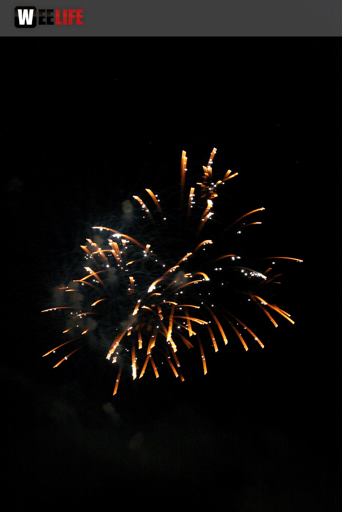 Hofer Volksfest