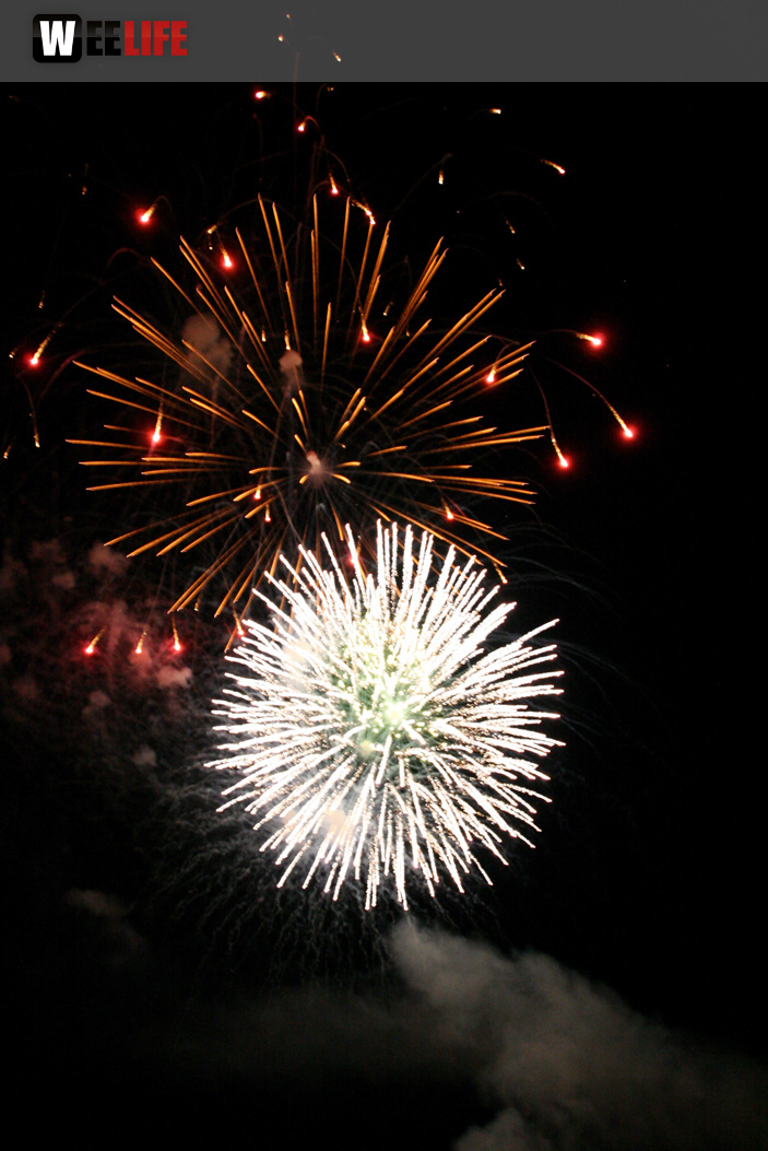 Hofer Volksfest