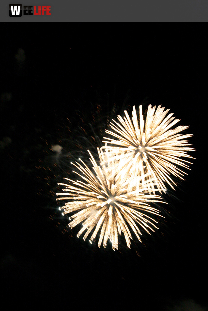 Hofer Volksfest