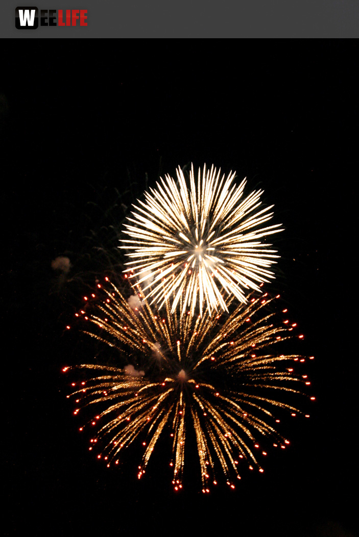 Hofer Volksfest