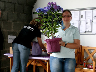 Foto 32377 im Album