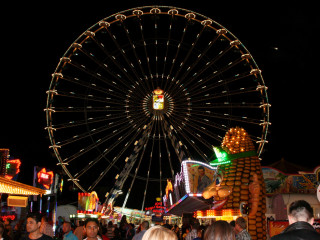 Foto 32474 im Album
