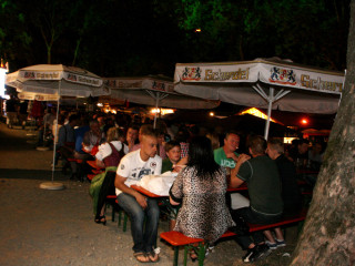 Foto 32529 im Album