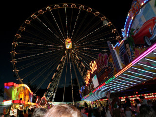 Foto 32992 im Album