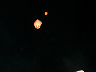 Foto 33763 im Album