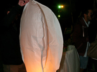 Foto 33773 im Album