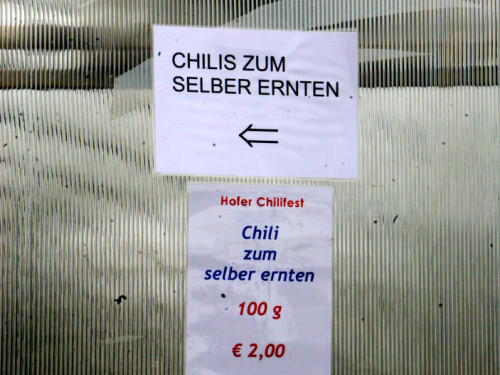 2. Hofer Chilifest – Foto 23
