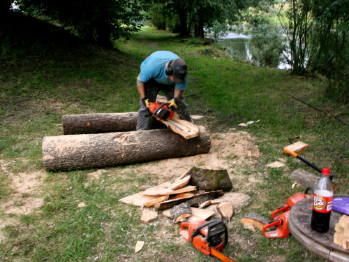 Saaleauenfest – Foto 10