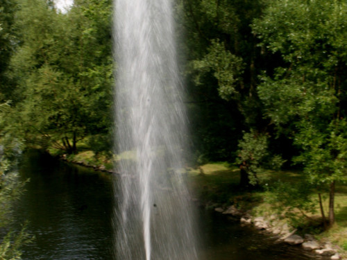 Saaleauenfest – Foto 26