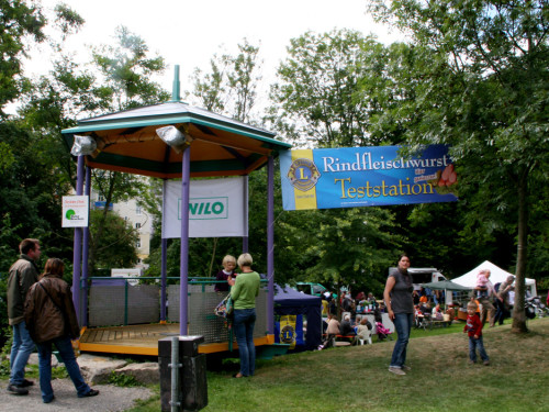 Saaleauenfest – Foto 51