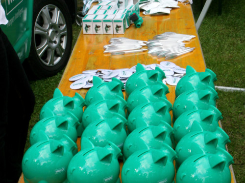 Saaleauenfest – Foto 54