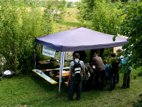 Saaleauenfest – Foto 62