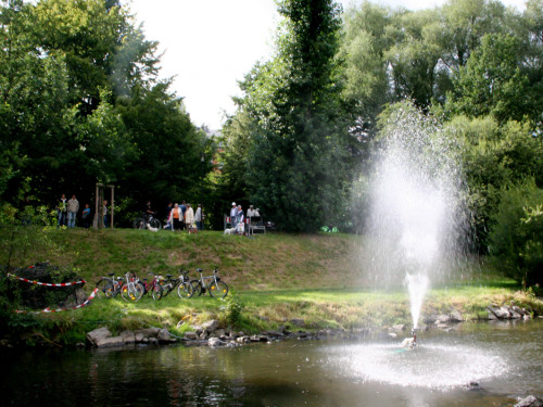 Saaleauenfest – Foto 113