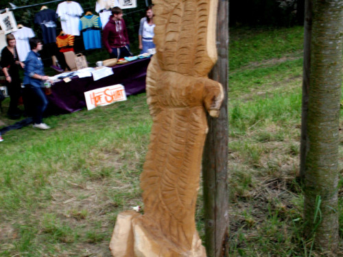 Saaleauenfest – Foto 148