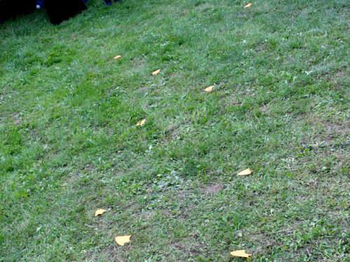 Saaleauenfest – Foto 427