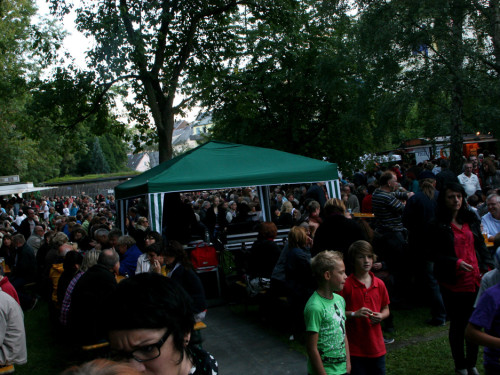 Saaleauenfest – Foto 430
