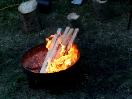 Saaleauenfest – Foto 431