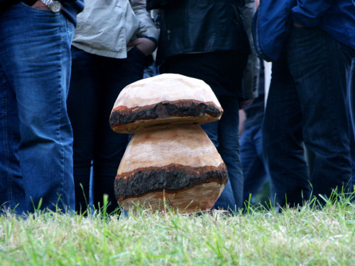 Saaleauenfest – Foto 441