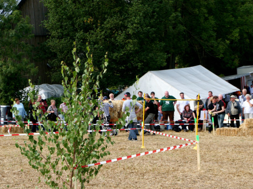 Hochfrankenspiele 2012 – Foto 67