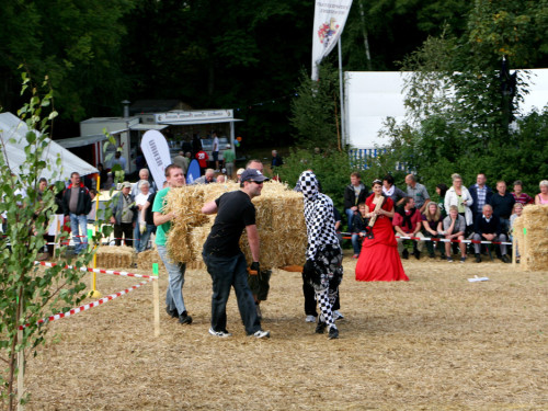 Hochfrankenspiele 2012 – Foto 70